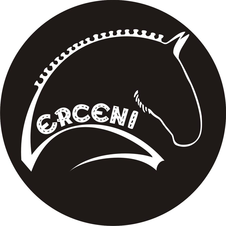 Erceni